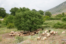 Albania-Central-Learn to Ride in Albania